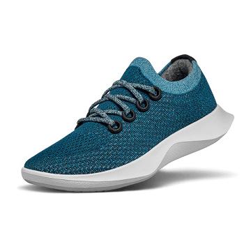 Aqua Allbirds Tree Dasher 1 Men's Running Shoes | AU1163TC