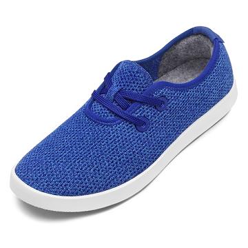 Blue Allbirds Tree Skippers Men's Sneakers | AU1014BE