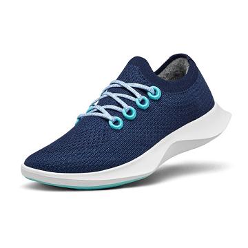 Blue / White Allbirds Tree Dasher 1 Men's Running Shoes | AU1165EB