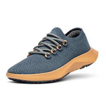 Blue / Yellow Allbirds Tree Dasher 2 Men's Running Shoes | AU1198CT