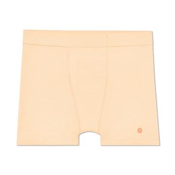 Brown Allbirds Trino® Boxer Brief Men's Underwear | AU1272MQ