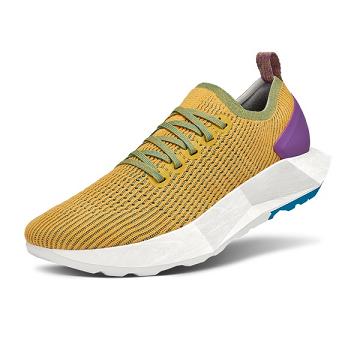 Gold Allbirds Tree Flyers Women's Running Shoes | AU1604YX