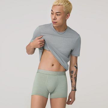 Green Allbirds Trino® Trunk Men's Underwear | AU1280KO