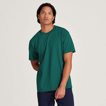 Turquoise Allbirds Allgood Cotton Men's T Shirts | AU1298MQ