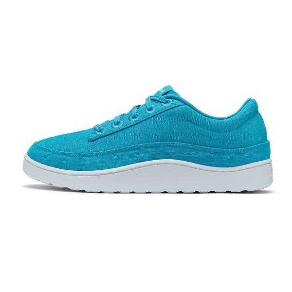 Turquoise Allbirds Canvas Pacers Men's Sneakers | AU1002PJ